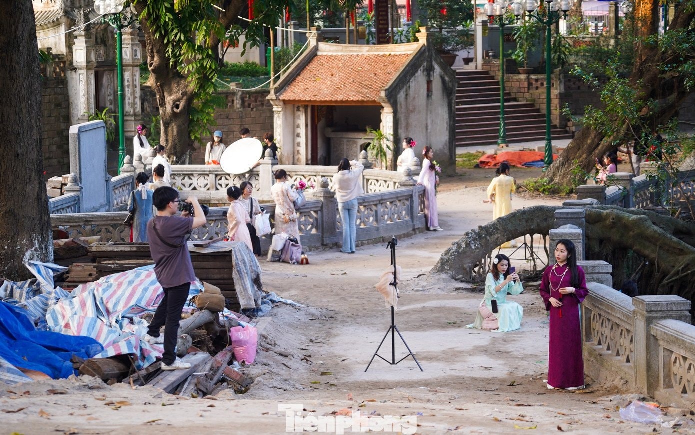 Không gian rêu phong và hàng cây già tạo nên phông nền cổ kính cho các bộ ảnh.