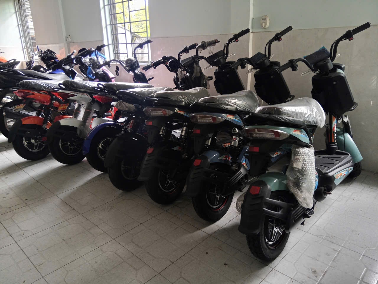 p1.jpg