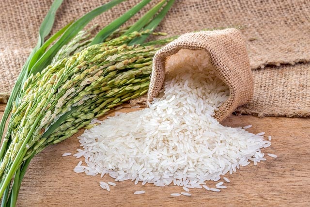 Giá lúa gạo hôm nay 1/1 ổn định trong ngày đầu năm
