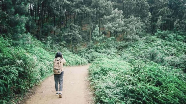 Trekking núi Hàm Lợn – Điểm đến lý tưởng cho du khách ưa thể thao