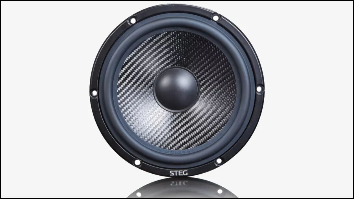 Phân tích những ưu điểm và hạn chế của dòng loa mid-bass là gì khi phối ghép.