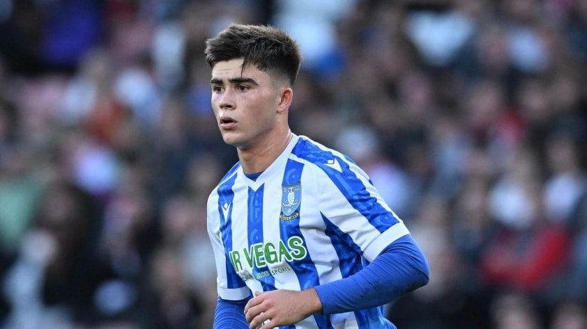 Harry Amass thi đấu ấn tượng trong màu áo Sheffield Wednesday