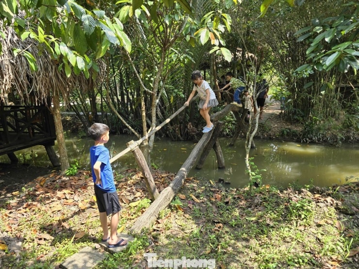 Trẻ em trải nghiệm đi qua cầu khỉ dân dã.