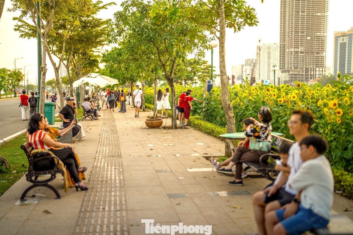 Từ sáng sớm đến chiều muộn, nhiều gia đình, bạn trẻ, du khách nước ngoài tìm đến vườn hoa để dạo chơi, chụp ảnh.
