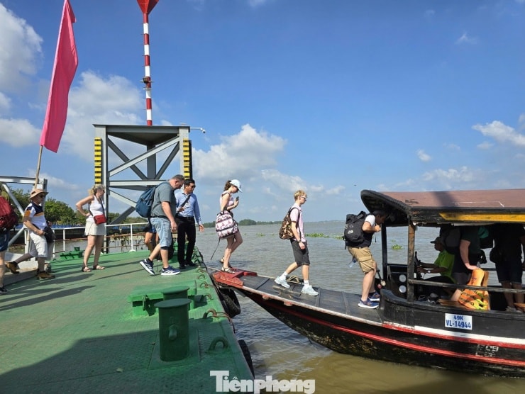 Du khách quốc tế tham gia tour du lịch sông nước Vĩnh Long.
