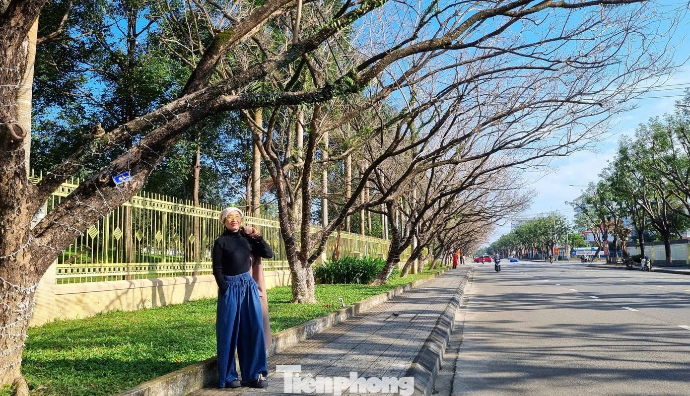 Cung đường sưa tại Bàn Thạch thu hút đông người dân tham quan