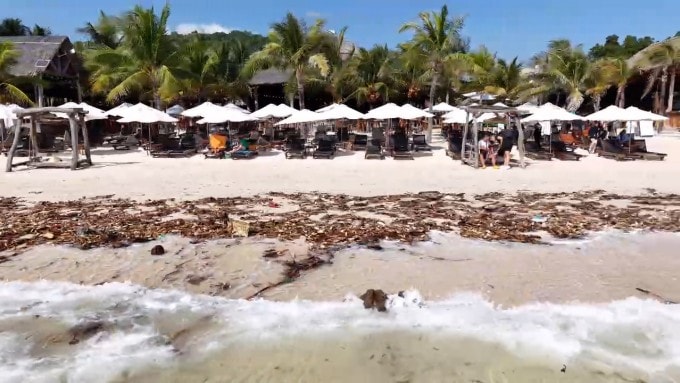 Bãi Sao sáng 2/1 tràn ngập lục bình