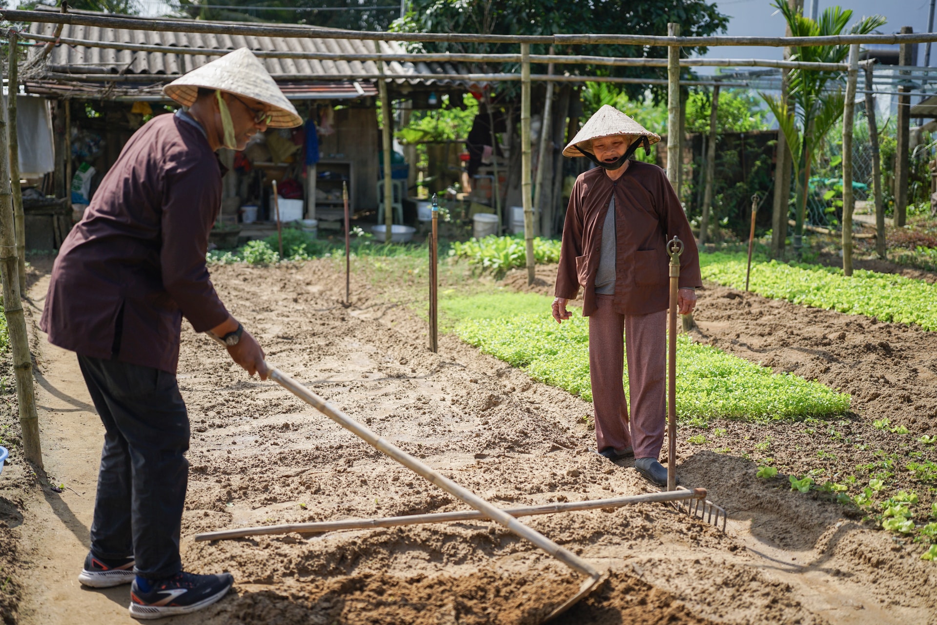 Ông Glenn Lobo, du khách từ Anh (bên trái) trải nghiệm làm nông dân tại vườn rau Thanh Đông. Ảnh: XUÂN SƠN