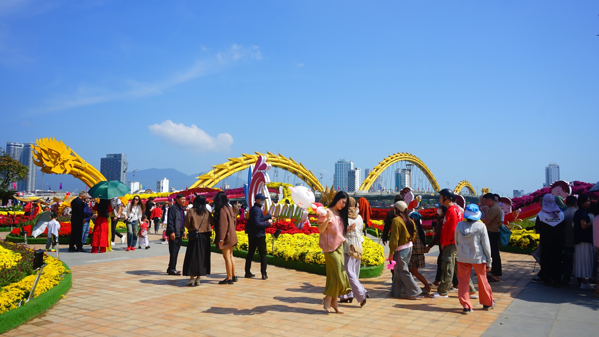 dsc07387.jpg