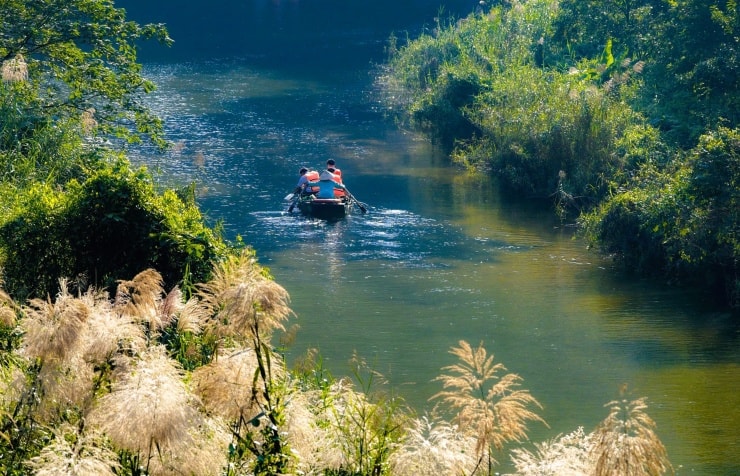 Khung cảnh bình yên tại Ninh Bình mùa hoa lau. Ảnh: Ngọc Linh