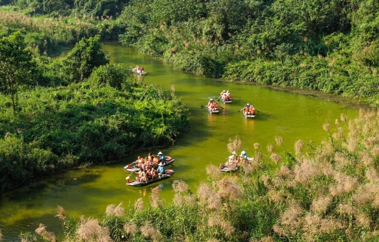 Du khách đi thuyền tham quan Tràng An mùa hoa lau. Ảnh: Ngọc Linh