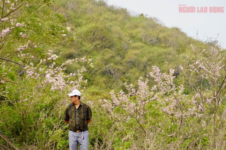 Du khách thích thú lưu lại những kỷ niệm bên mùa hoa chỉ nở một lần trong năm.