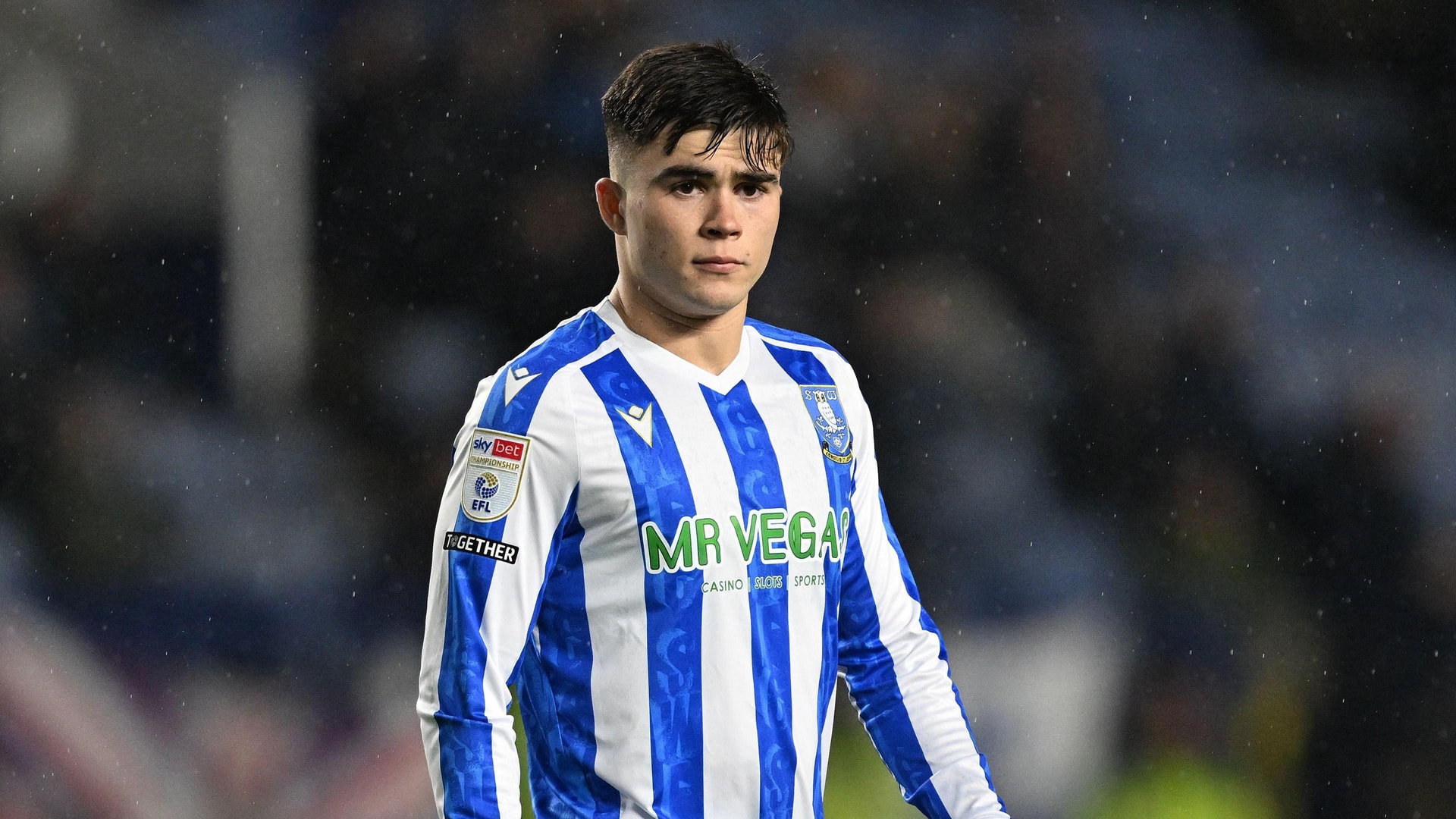 Harry Amass thi đấu trong màu áo Sheffield Wednesday
