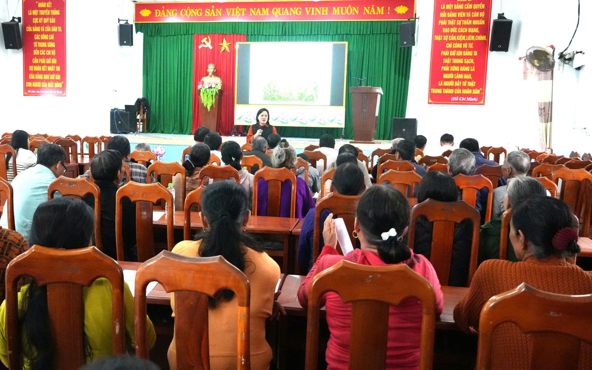 HTX Nông ngư nghiệp Núi Thành tổ chức tập huấn phương thức canh tác cho người dân tham gia mô hình liên kết sản xuất