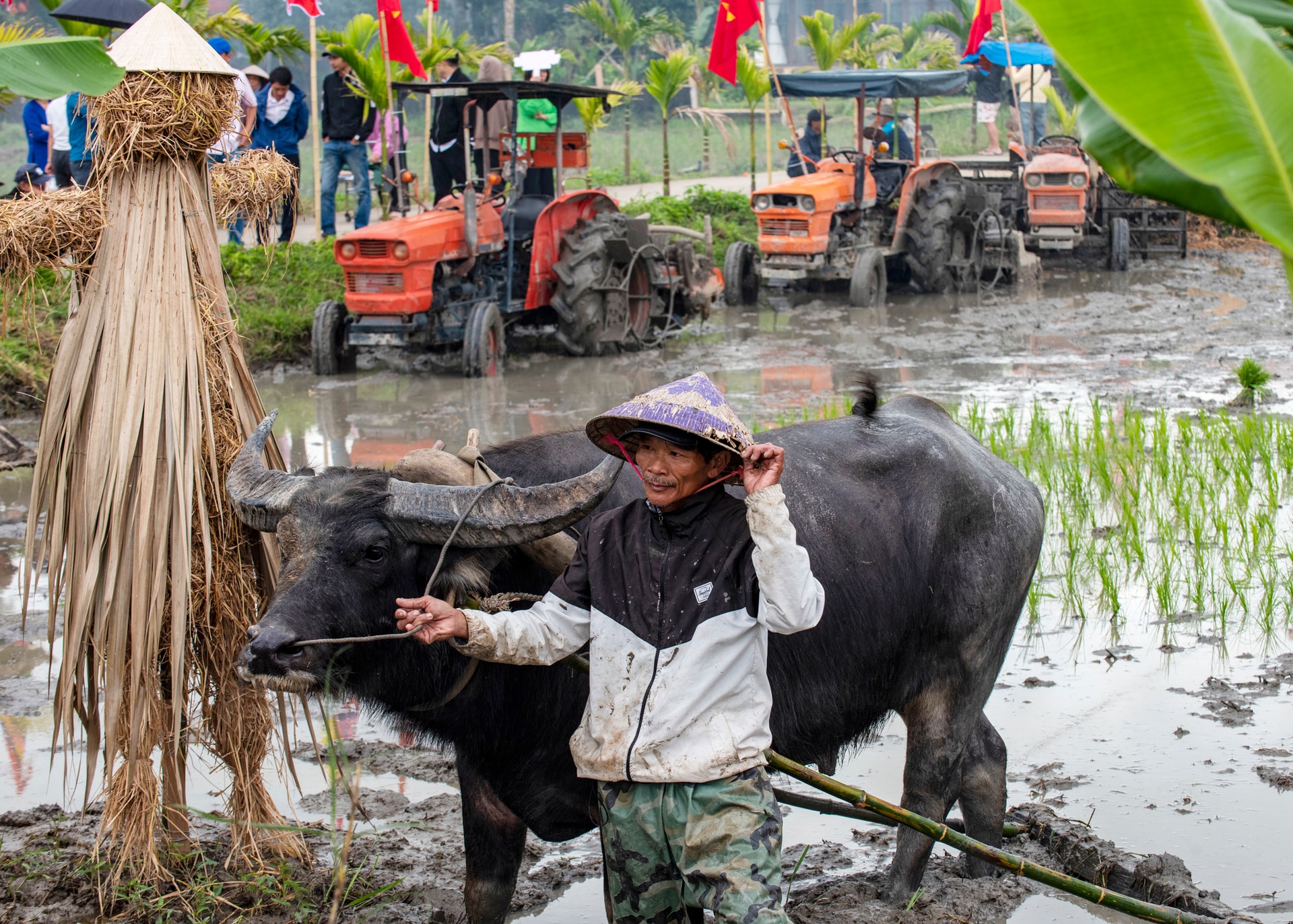 TUY_1750- Nguyễn Tường tuyên- 0905122378