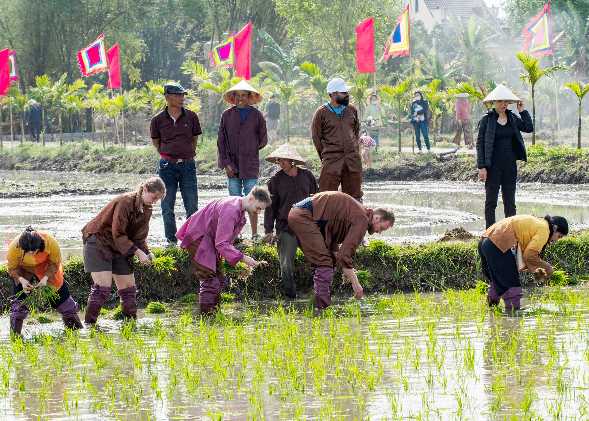 TUY_1874- Nguyễn Tường tuyên- 0905122378
