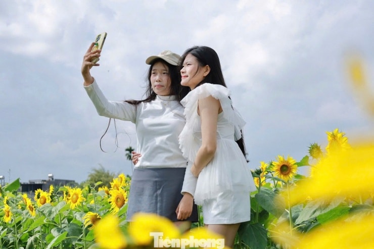 Bạn trẻ Cao Thị Dương Nhiên cùng bạn bè check-in tại vườn hoa từ sáng sớm.