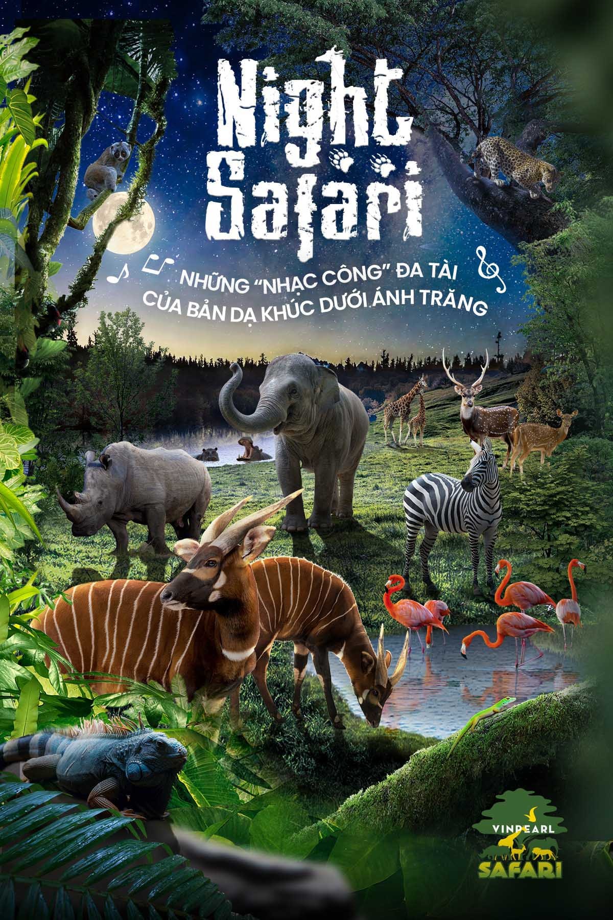 Hoạt động cho động vật ăn tại Safari