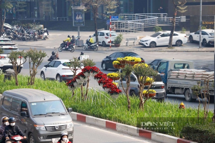 Các dải hoa mang lại cảm giác bình yên cho người dân những ngày đầu năm