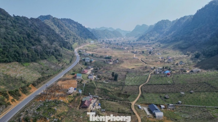 Những ngày này, đi dọc các tuyến đường vào trung tâm các xã vùng cao, dễ bắt gặp từng vạt hoa nở kín tán, phủ trắng sườn đồi.