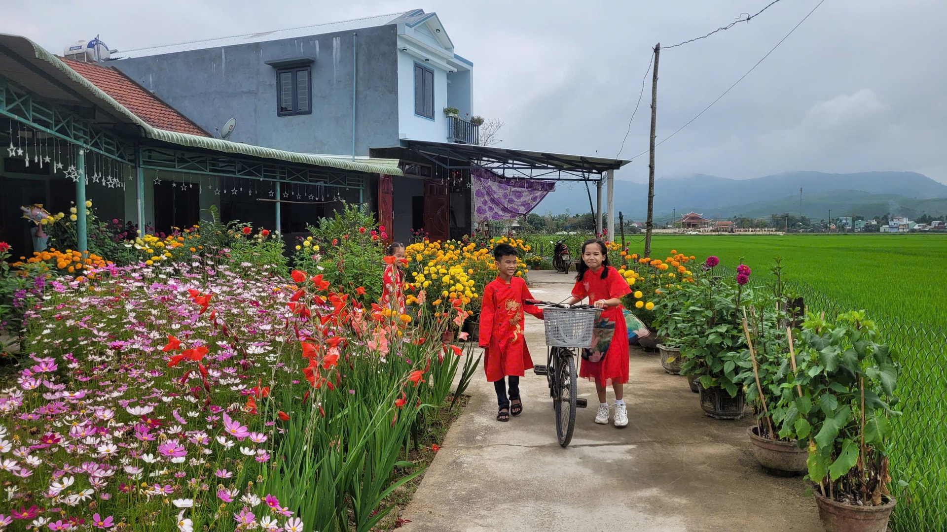 Miền quê yên bình ngày Tết. Ảnh: THIÊN THU