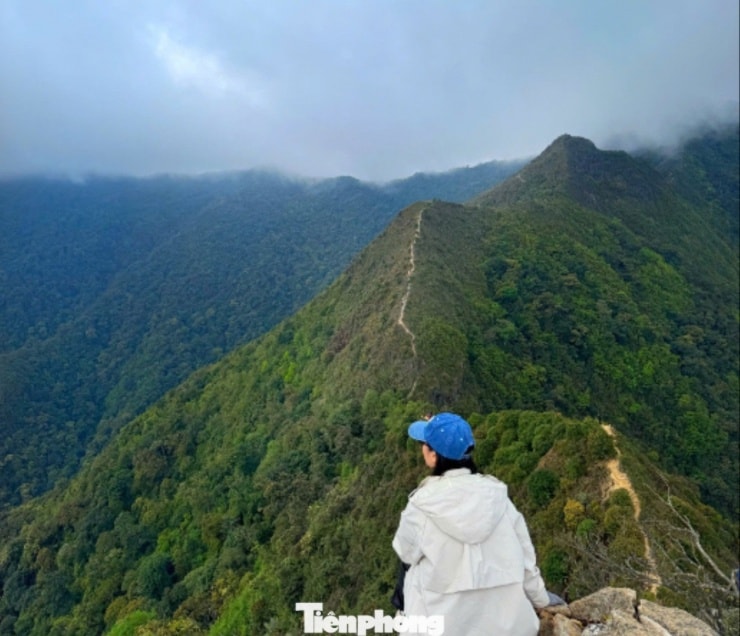 Cung đường trekking sống lưng khủng long hẹp và hiểm trở tại Tà Xùa.