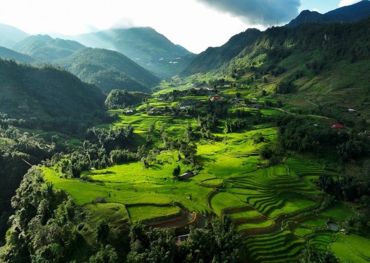 Triền ruộng bậc thang như những dải lụa mềm mại ôm ấp núi rừng Tây Bắc.