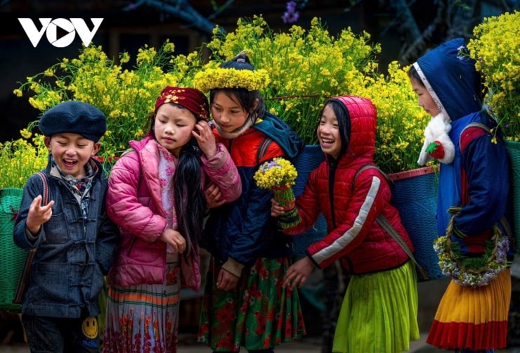 Những đứa trẻ mang theo gùi hoa cải vàng, biểu tượng của sức sống bền bỉ trên đá cằn.