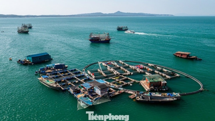 Để đi ra đảo, người dân, khách du lịch có thể đi tàu, xuồng cao tốc từ các cảng thuộc Đặc khu Vân Đồn hoặc từ đảo Cô Tô lớn.