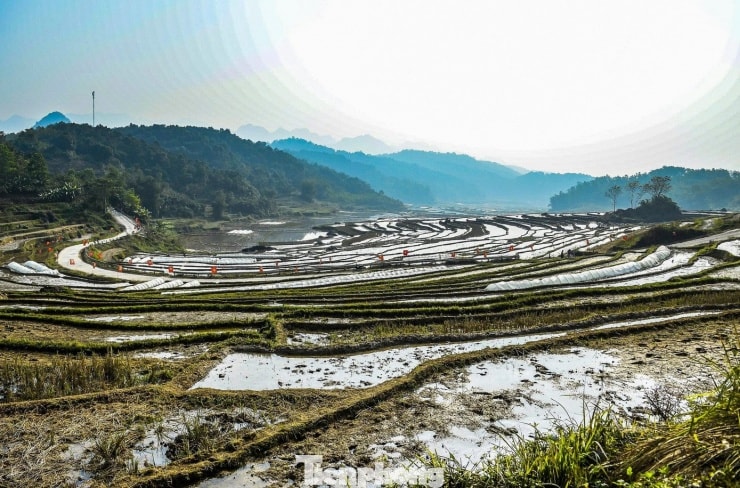Ruộng bậc thang uốn lượn quanh sườn núi, phản chiếu sắc xanh trùng điệp của núi rừng.
