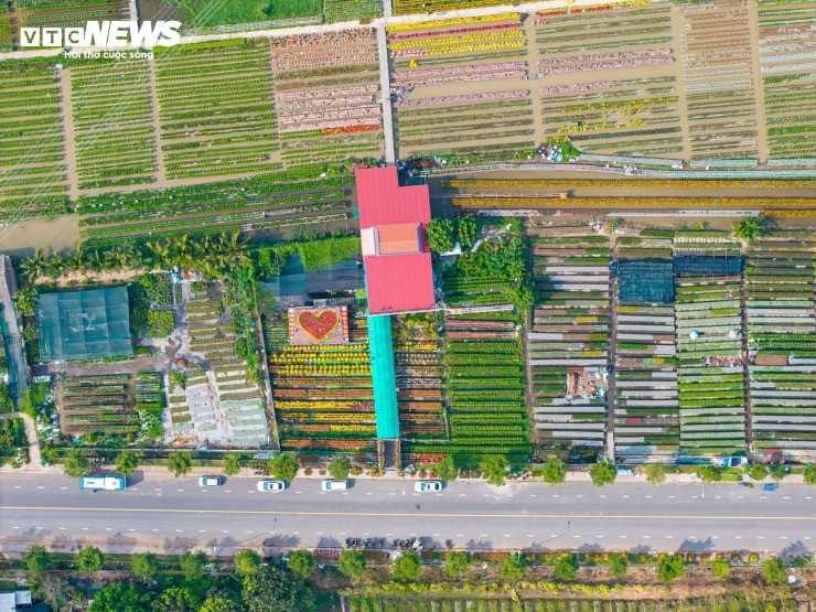 Toàn cảnh làng hoa Sa Đéc nhìn từ trên cao.