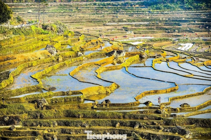 Mặt ruộng như những tấm gương khổng lồ soi bóng trời xanh và những mái nhà sàn đơn sơ.