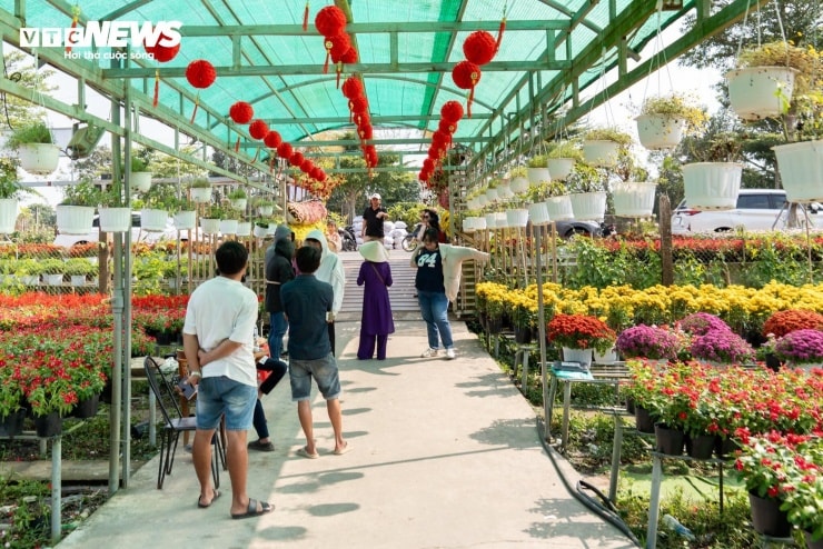 Du khách thong thả tham quan làng hoa Sa Đéc đầu mùa.