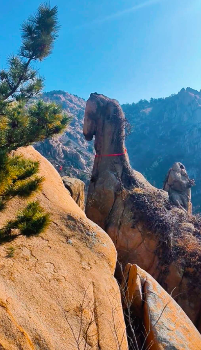 Tảng đá hình ngựa trên núi Đại Chu ở Thanh Đảo thu hút nhiều người đến chụp ảnh cầu may