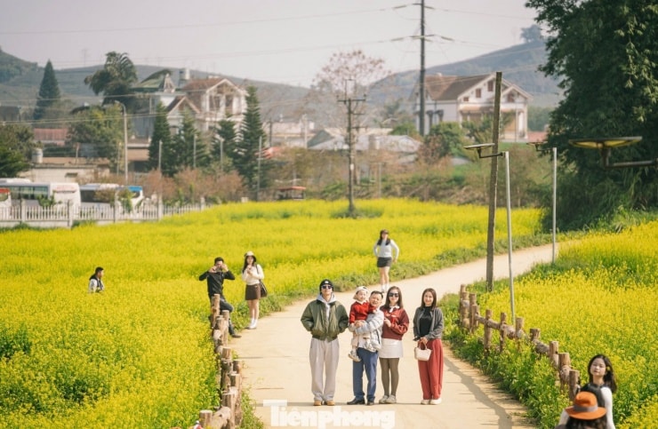 Du khách Trần Thị Trâm Anh chia sẻ cảm xúc khi tham quan vườn hoa cải.