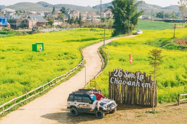 Cánh đồng hoa cải vàng rực rỡ tại cao nguyên Mộc Châu, Sơn La.