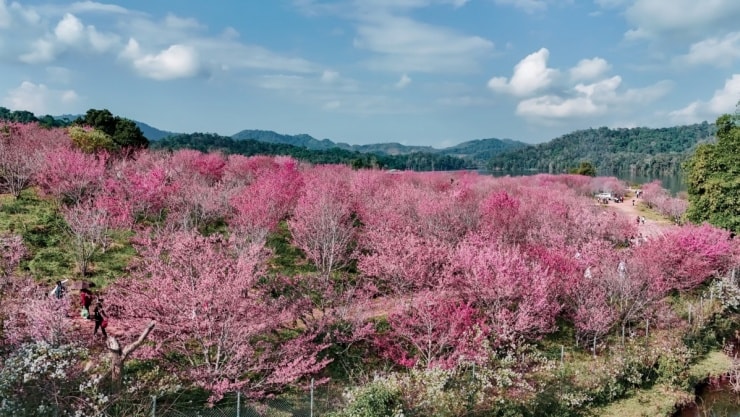 Đường vào đảo có một số đoạn dốc đòi hỏi người lái xe cần vững tay lái