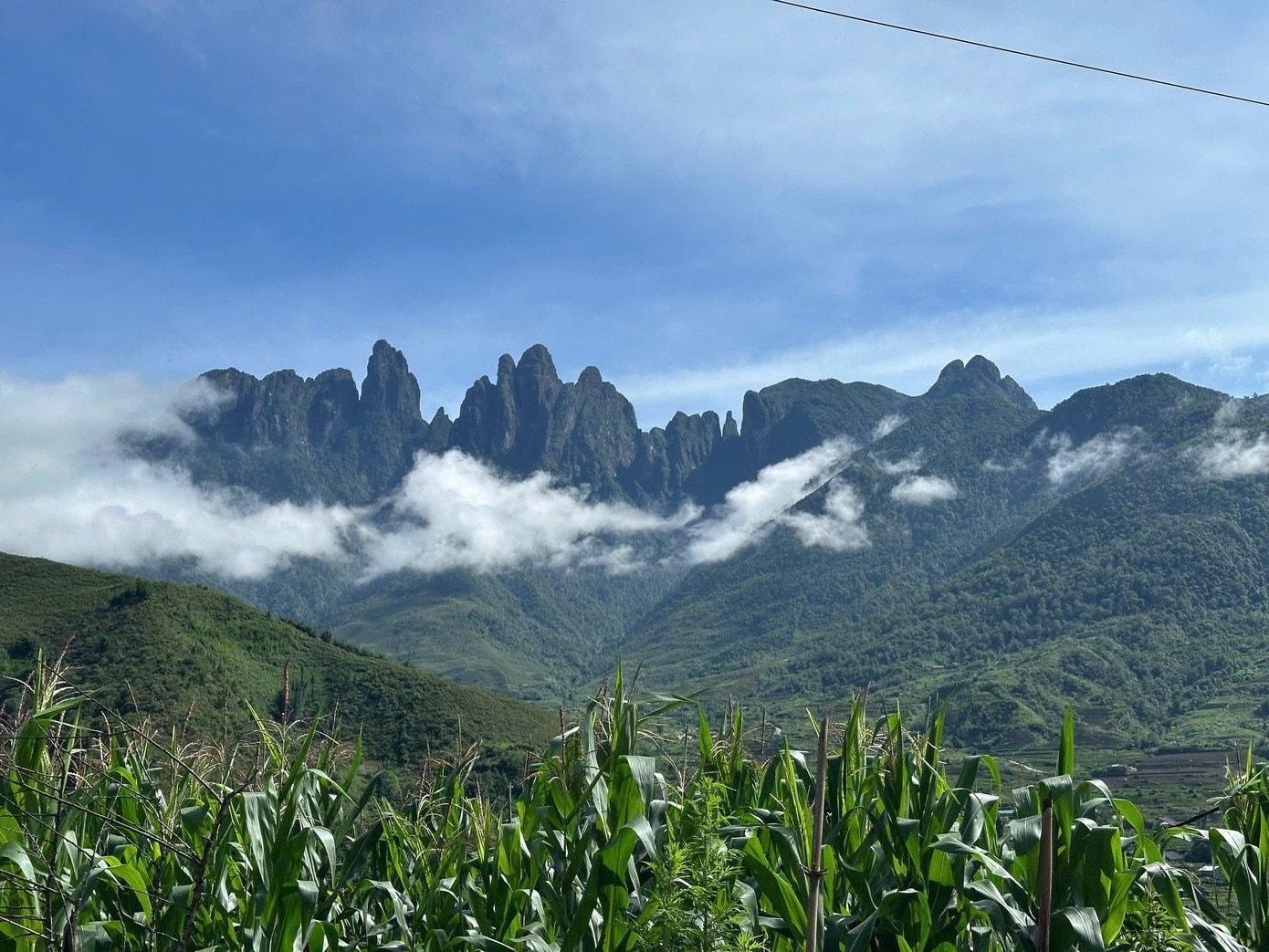 Ngũ Chỉ Sơn thuộc khu vực đèo Hoàng Liên Sơn, nằm giáp ranh giữa Lào Cai và Lai Châu.