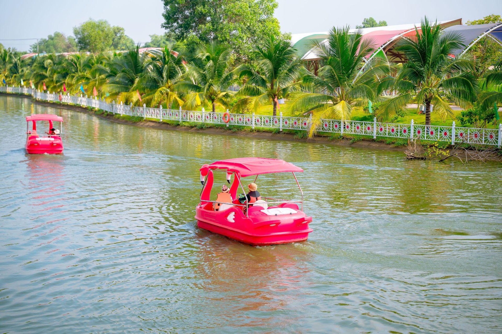 Du khách lái thuyền hồng hạc vui chơi trên bờ hồ xanh