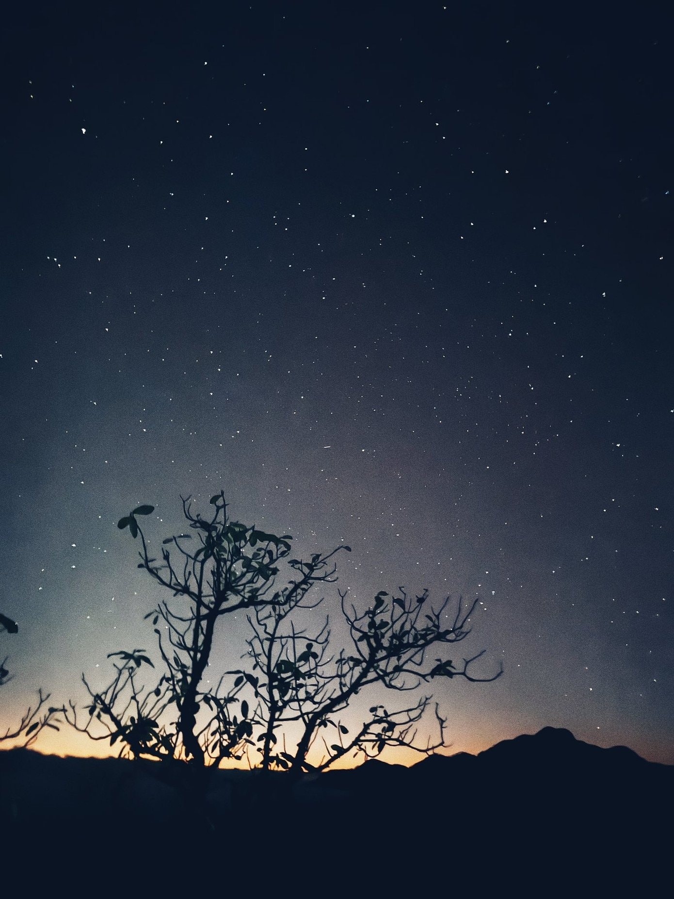 Tầm nhìn từ đỉnh Ngũ Chỉ Sơn hướng ra các dãy núi xung quanh.