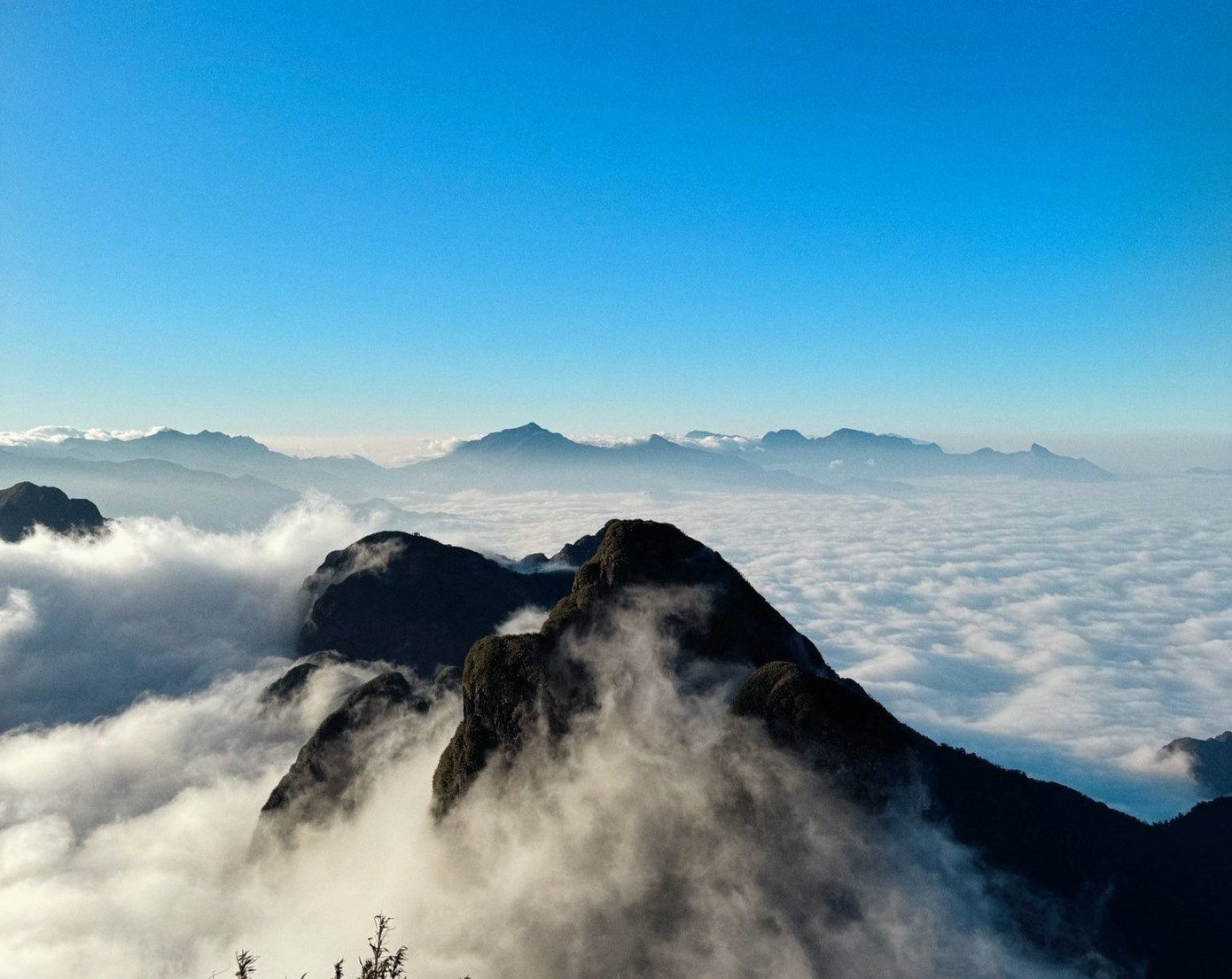 Biển mây trắng đặc quánh bao phủ quanh đỉnh Ngũ Chỉ Sơn.