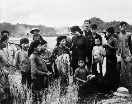 vna-potal-95-nam-hoi-nong-dan-viet-nam-xung-dang-la-co-so-chinh-tri-xa-hoi-vung-chac-cua-dang-va-nha-nuoc-8335231.jpg