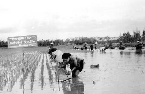 vna-potal-95-nam-hoi-nong-dan-viet-nam-xung-dang-la-co-so-chinh-tri-xa-hoi-vung-chac-cua-dang-va-nha-nuoc-8335246.jpg