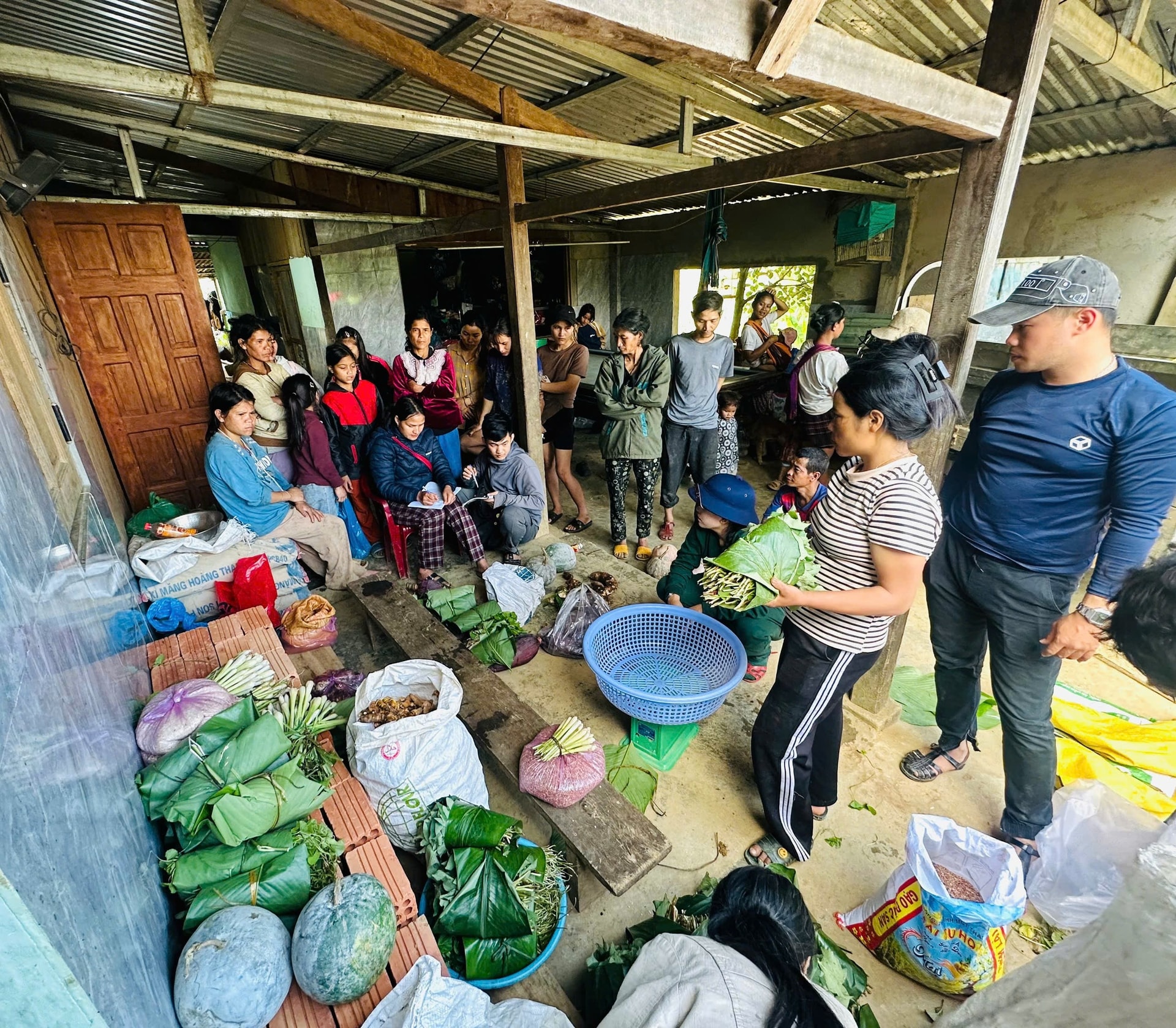 Khung cảnh thu mua nhộn nhịp ở xã Trà Tập. Ảnh: LAM PHƯƠNG