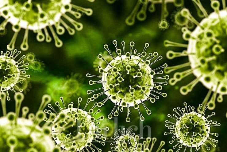 Nipah có tỷ lệ tử vong từ 40-75%. Người sống sót thường chịu di chứng nặng nề như co giật hay biến đổi tính cách.