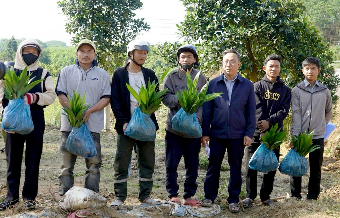 UBND xã Trà Đốc tổ chức cấp phát cây cau giống cho nhân dân vào giữa tháng 1 vừa qua
