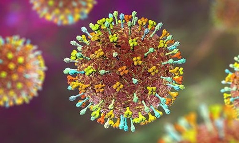virus-nipah-1769485724573472765062.jpg