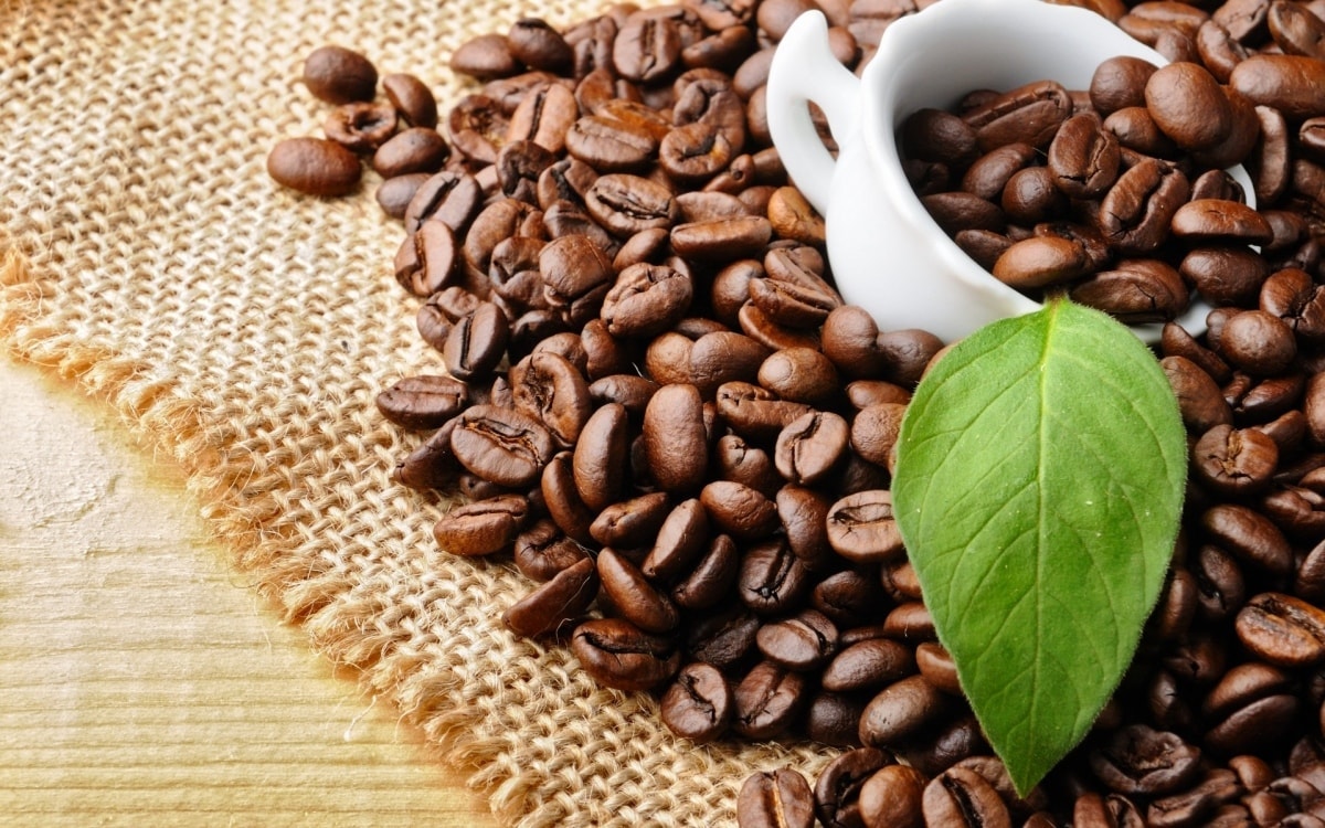 Giá cà phê hôm nay 29/1 Trong nước tăng nhẹ thế giới đảo chiều giảm sâu