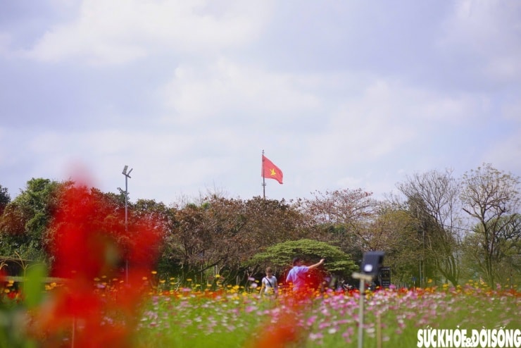 Linh vật ngựa bên Kinh thành Huế