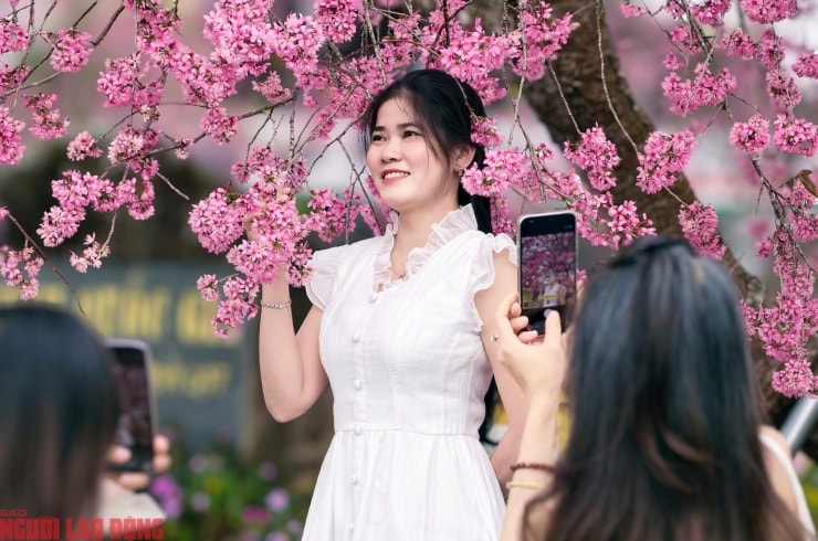 Nhà lao Thiếu nhi Đà Lạt được trùng tu và đưa vào hoạt động tham quan phục vụ du khách từ năm 2016.
